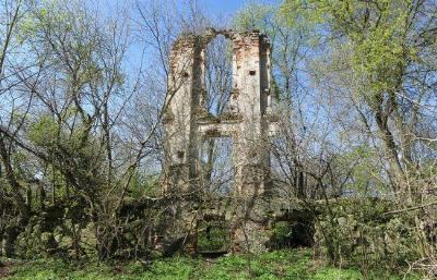 Усадебный дом (?) (руины)