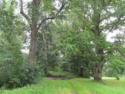 Парк (фрагменты)