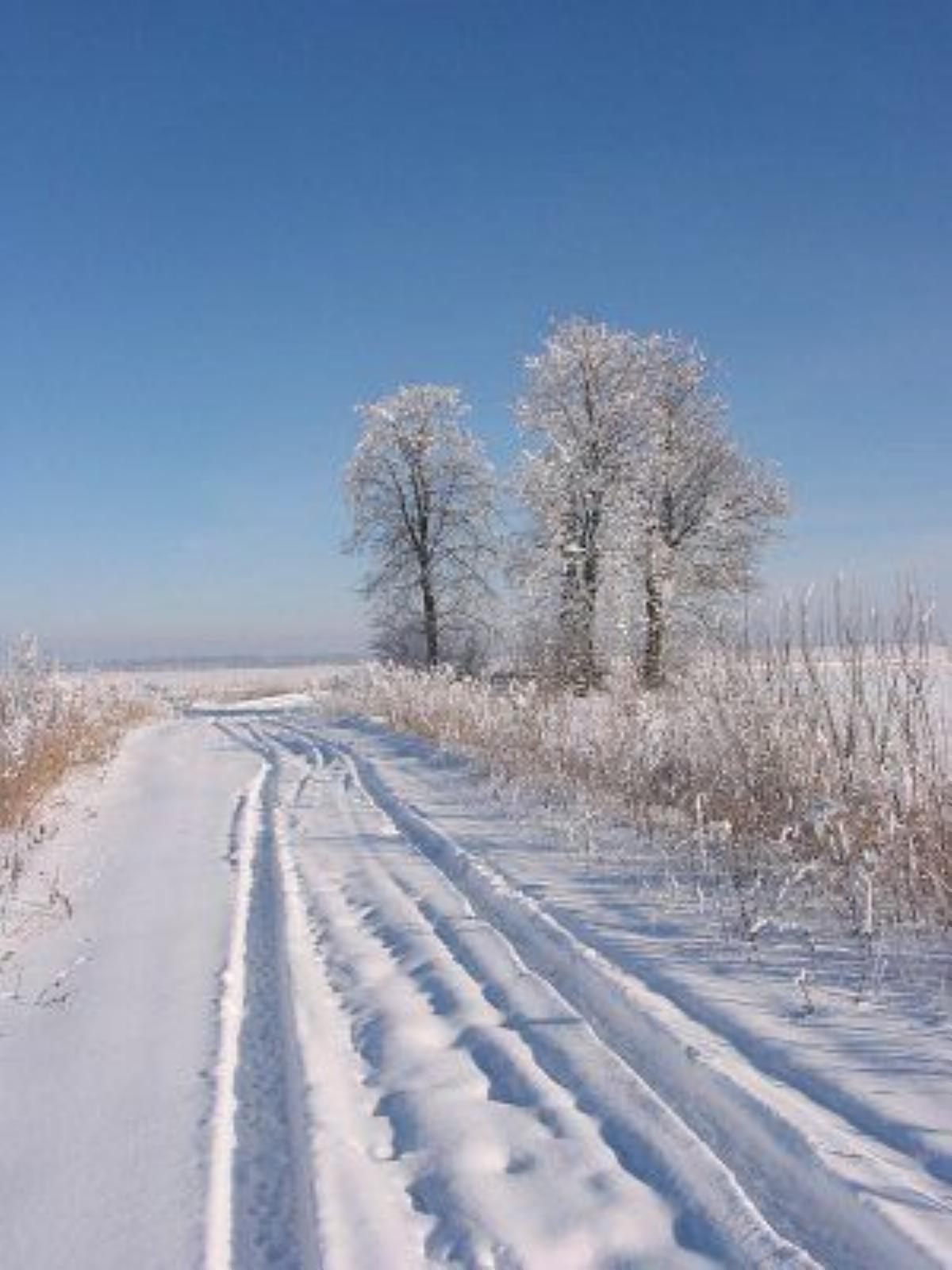 Фотозарисовки Фотозарисовки