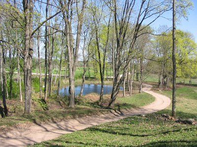 Фотозарисовки