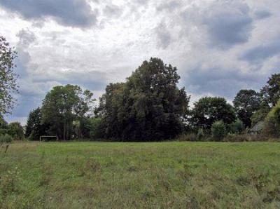 Парк (фрагменты)