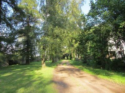 Парк (фрагменты)