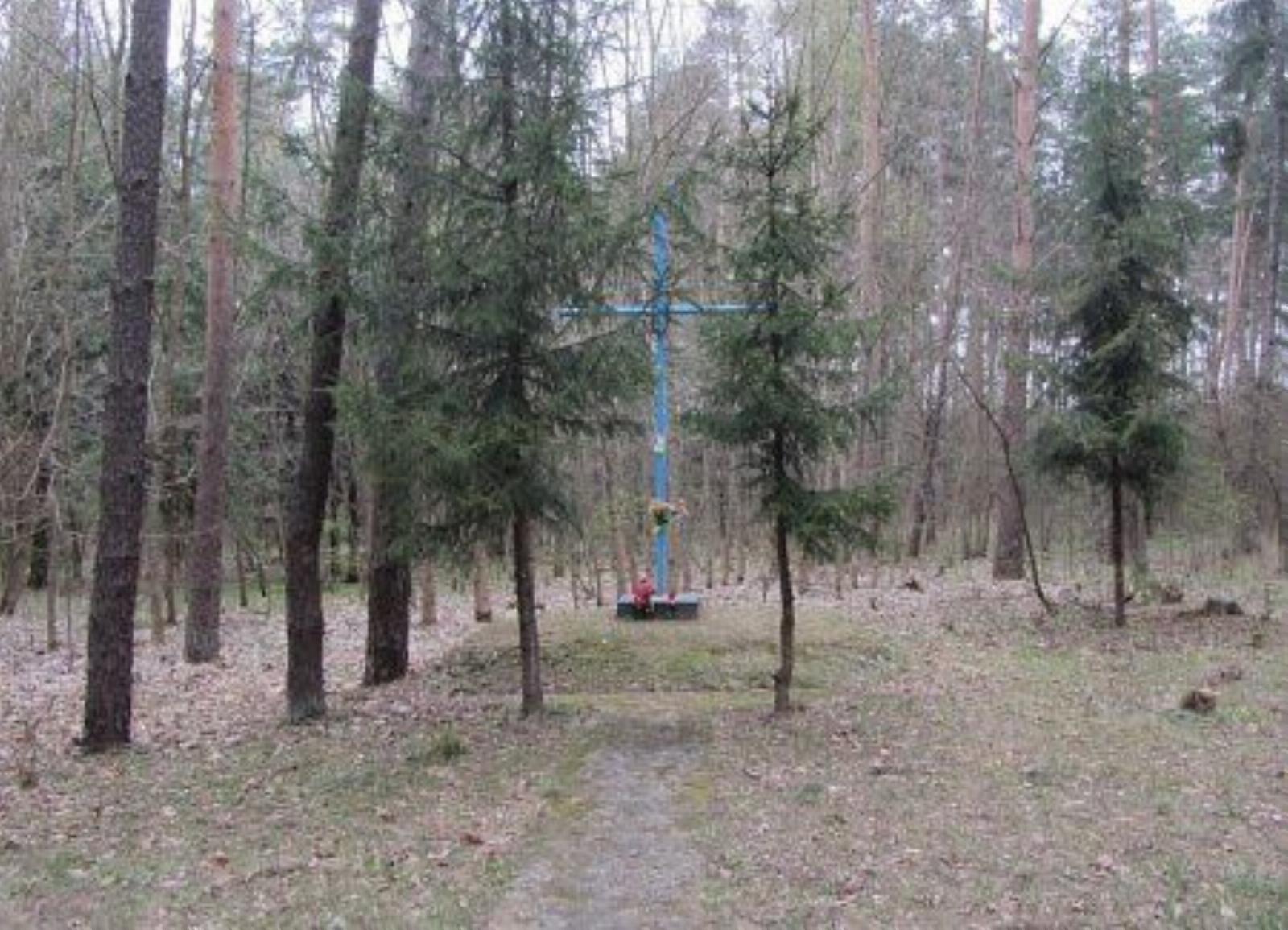 Мемориальный крест участникам восстания 1863-64 гг. Мемориальный крест участникам восстания 1863-64 гг.