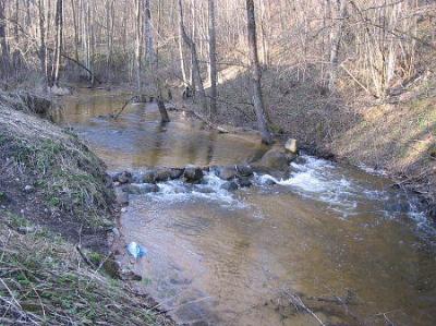 Река Бужица