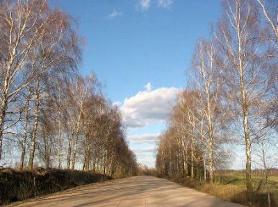 Фотозарисовки