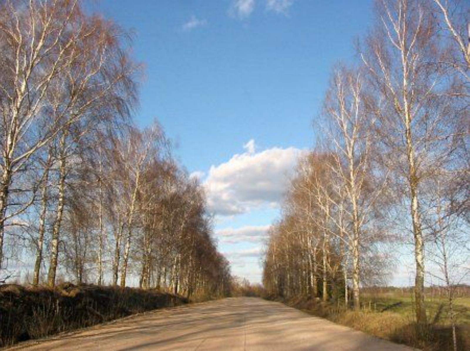 Фотозарисовки Фотозарисовки