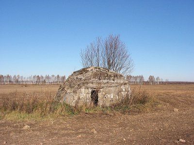 Дот русский