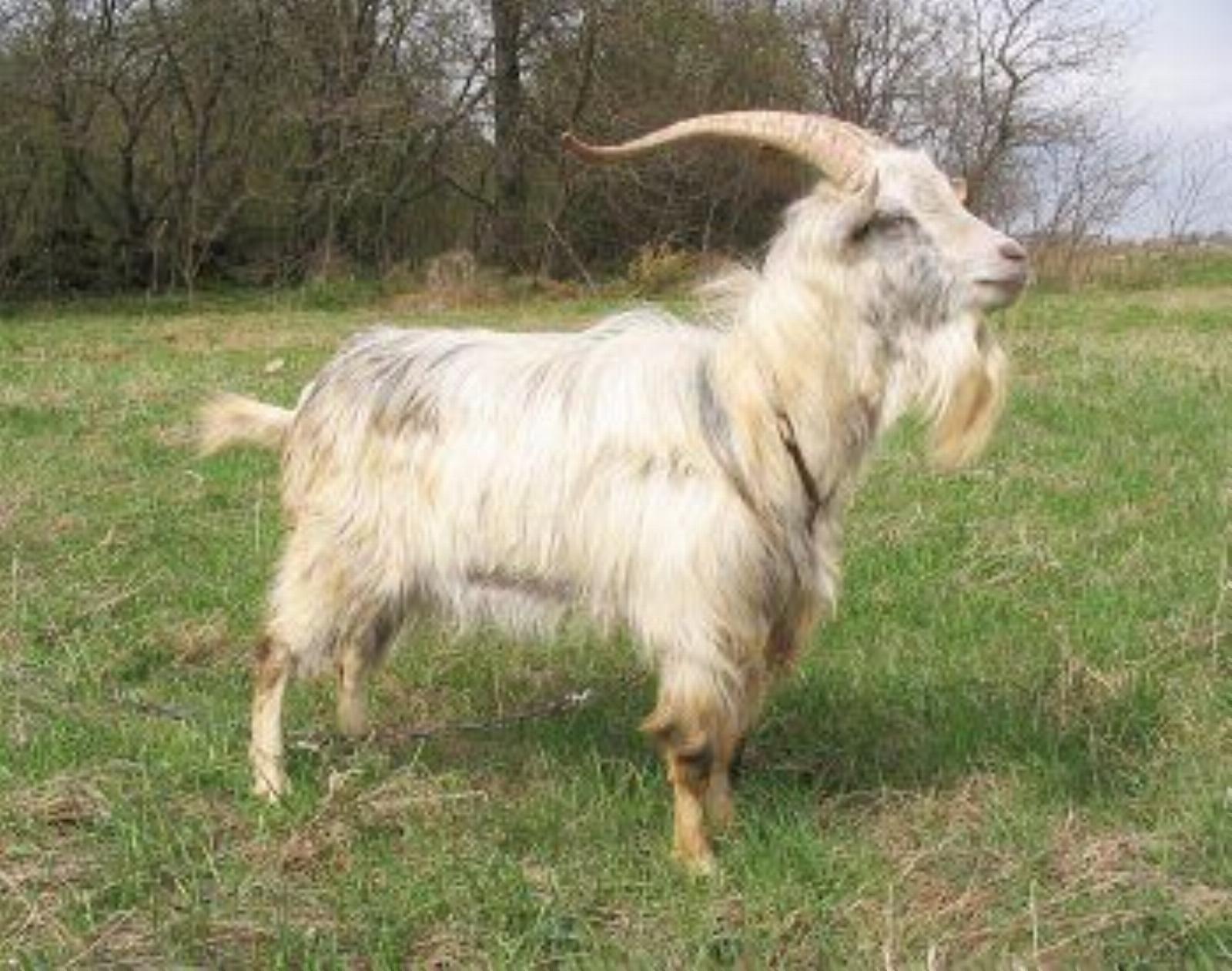 Фотозарисовки Фотозарисовки