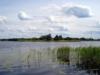 Замчище (археол.)