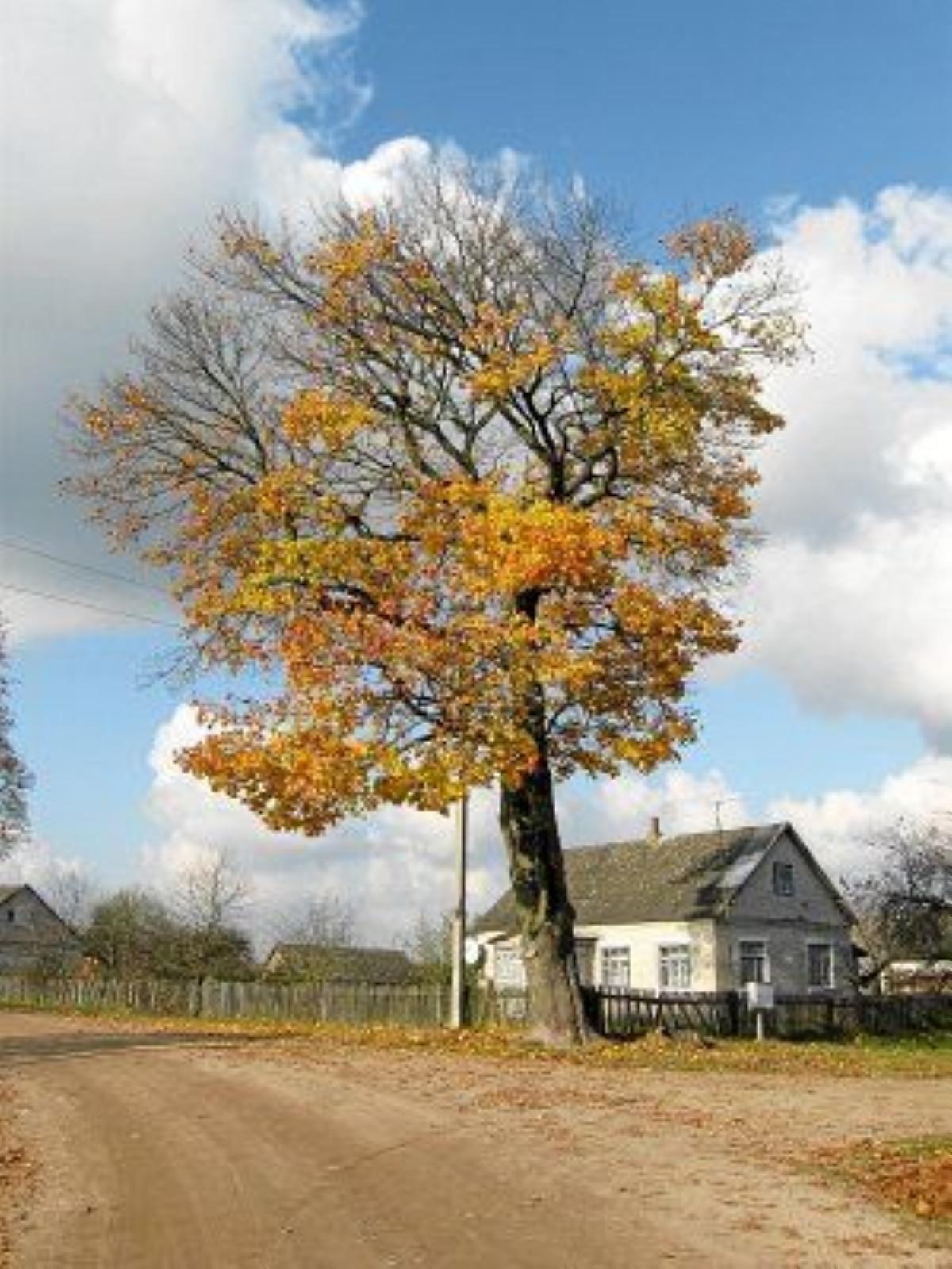 Фотозарисовки Фотозарисовки