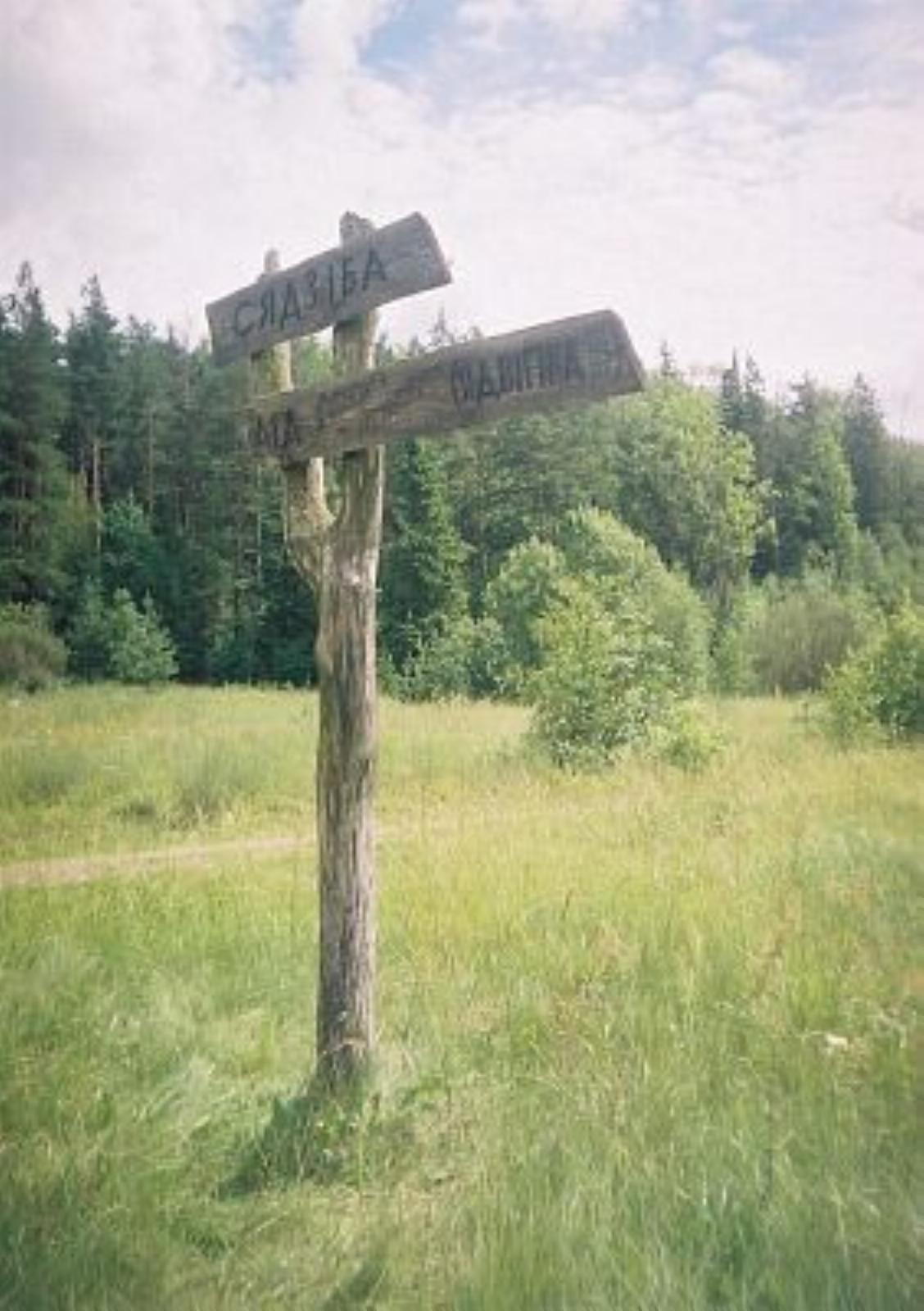 Усадьба Левицких Усадьба Левицких