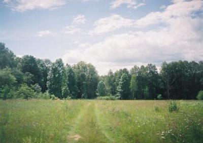 Парк (фрагменты)