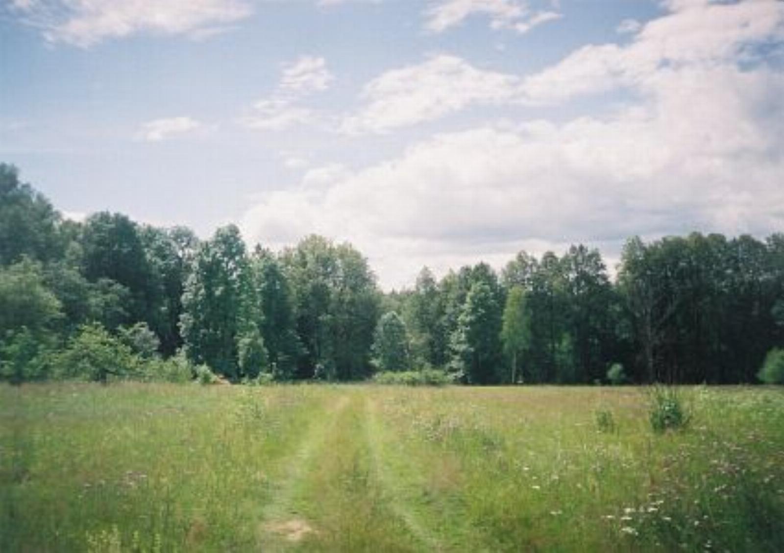 Парк (фрагменты) Парк (фрагменты)