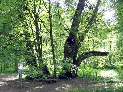 Парк Тугановичский