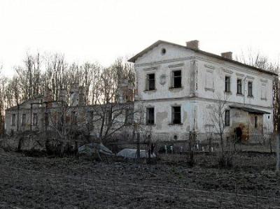 Усадебный дом (руины)