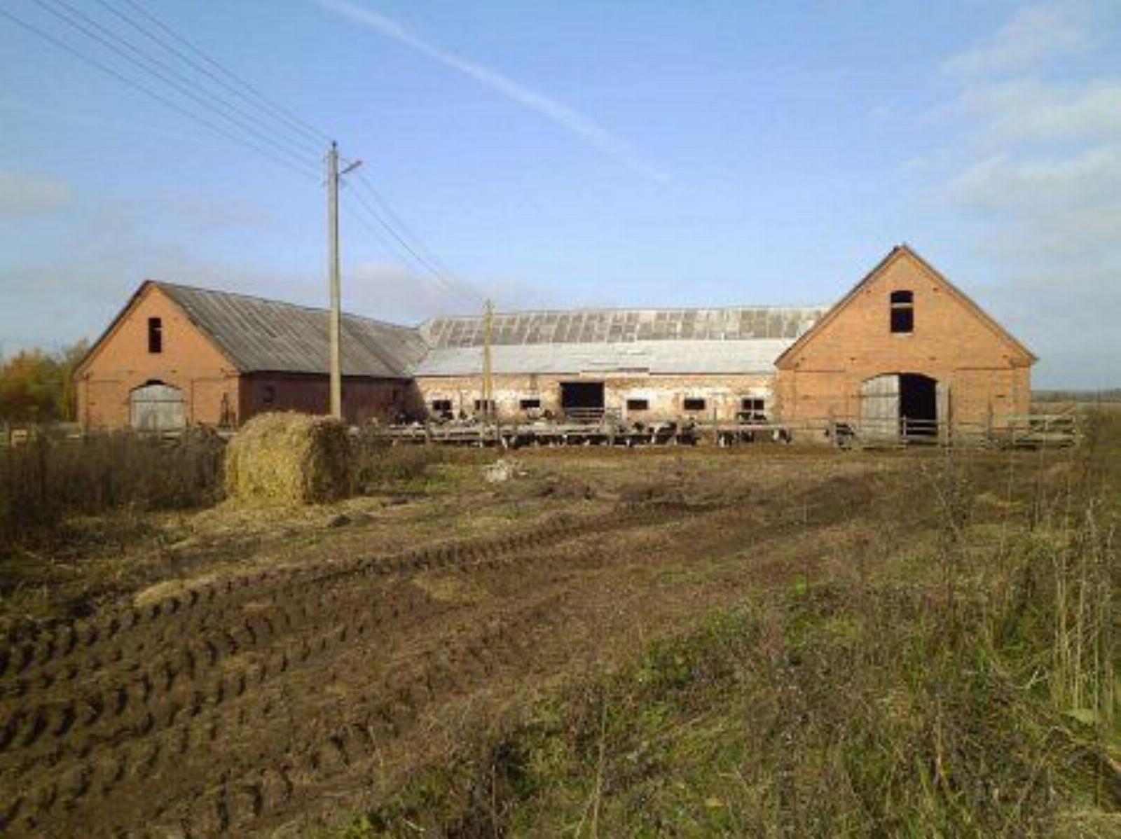 Конюшня Конюшня