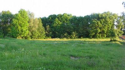 Парк (фрагменты)