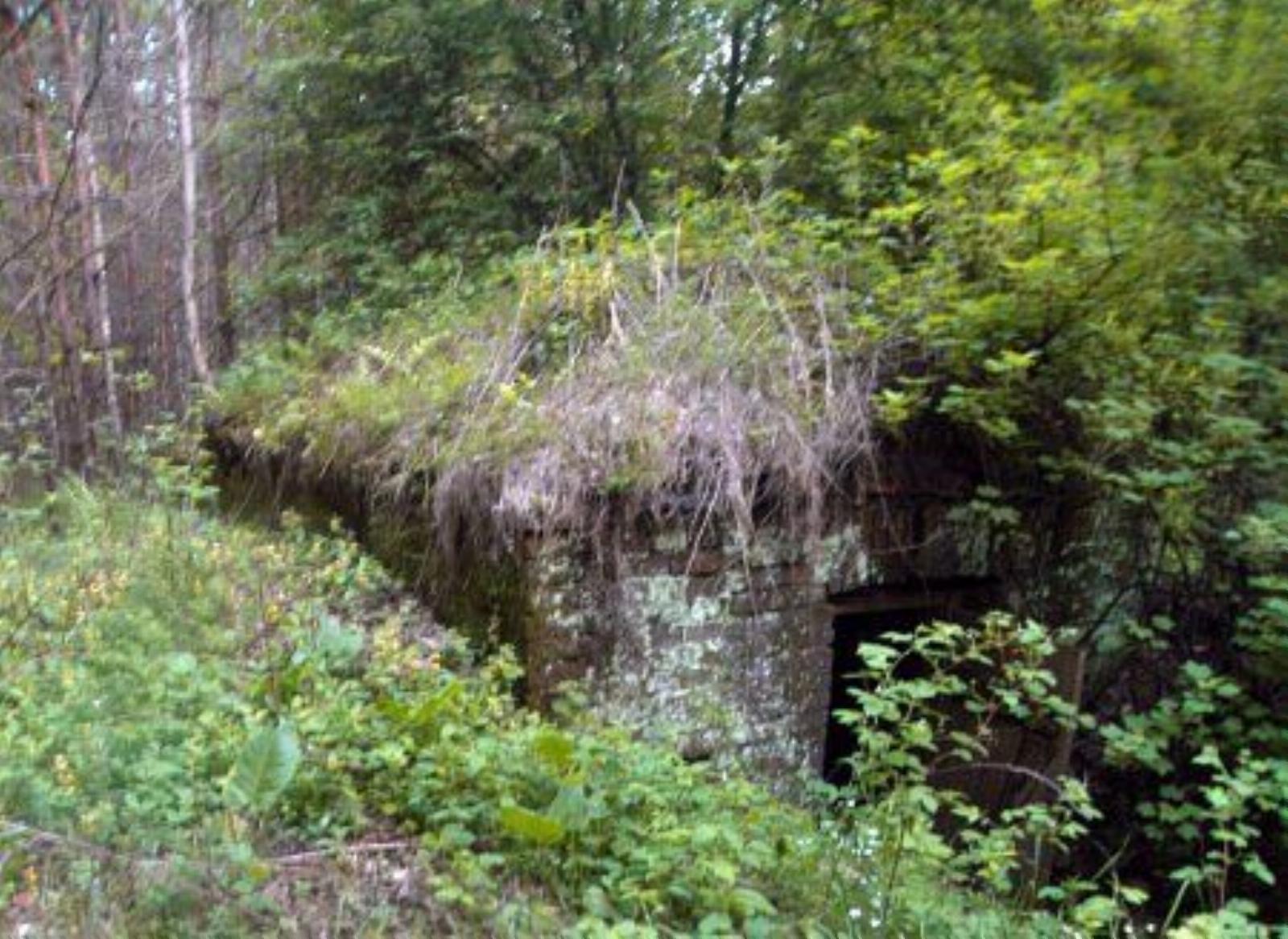 Ледовня Ледовня