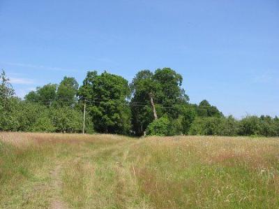 Парк (фрагменты)