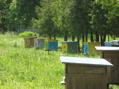 Фотозарисовки