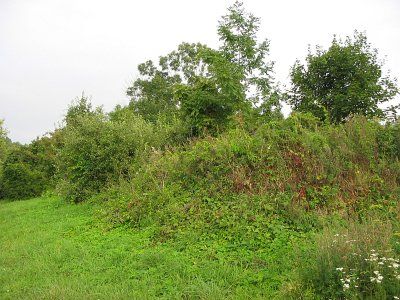 Усадебный дом /сохр. подвалы/