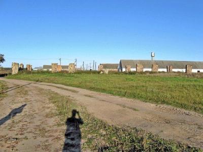 Хозпостройки (руины)