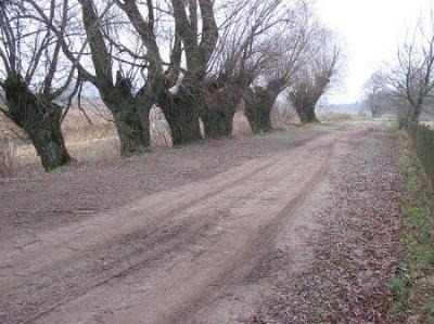 Аллея въездная