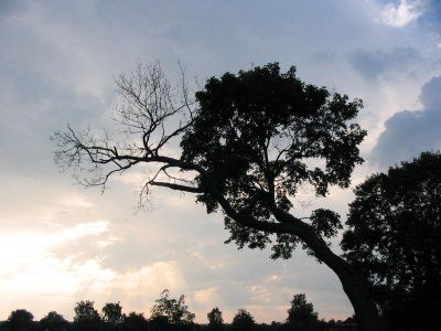 Фотозарисовки