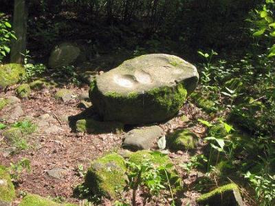 Камень-следовик