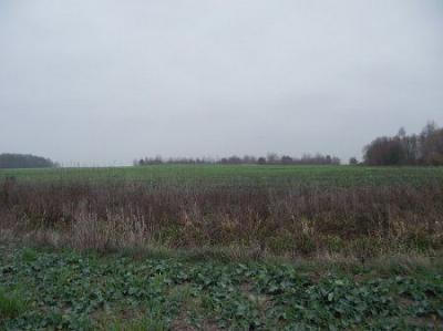 Земляные укрепления замка Чарторыйских