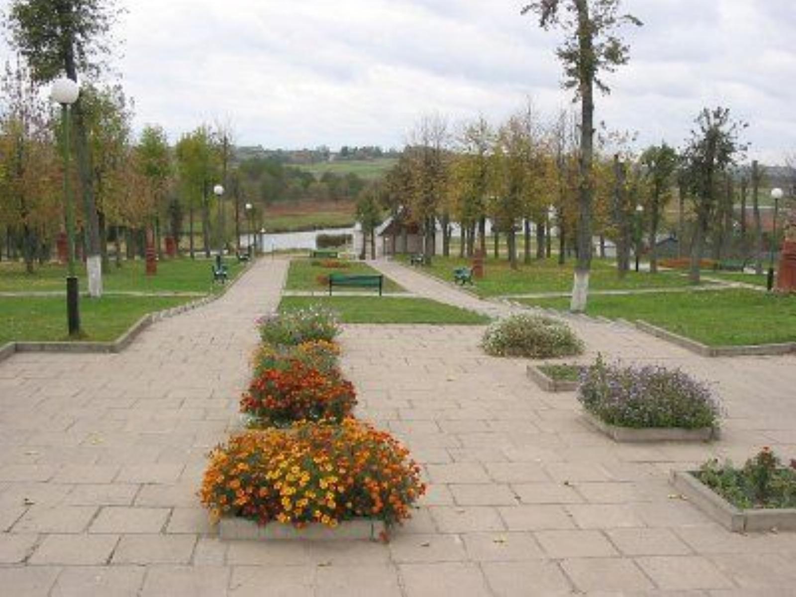 Улицы города Улицы города