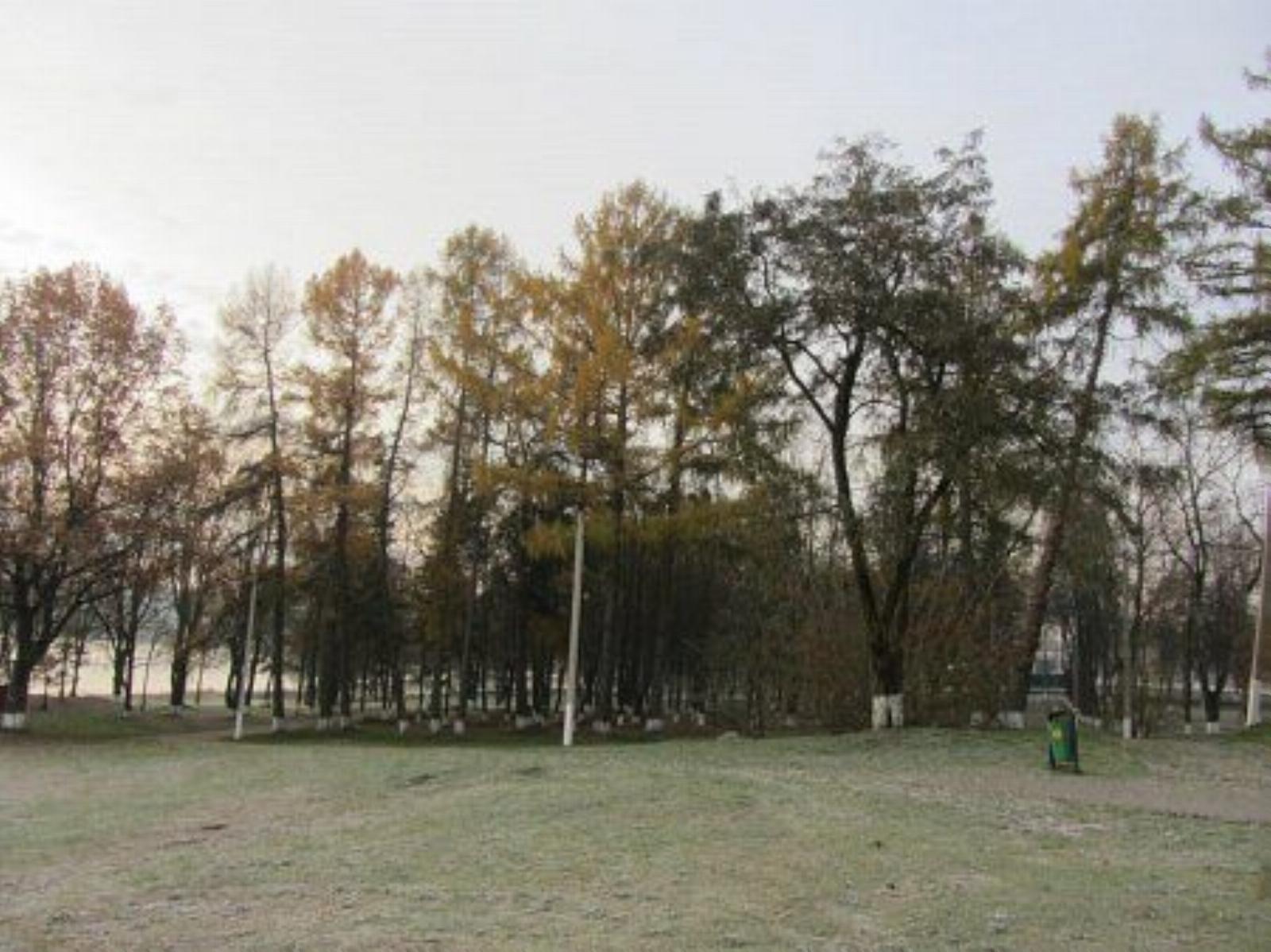 Парк (фрагменты) Парк (фрагменты)