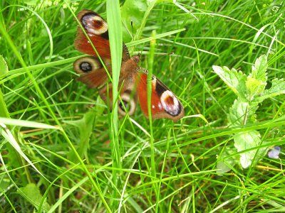 Фотозарисовки