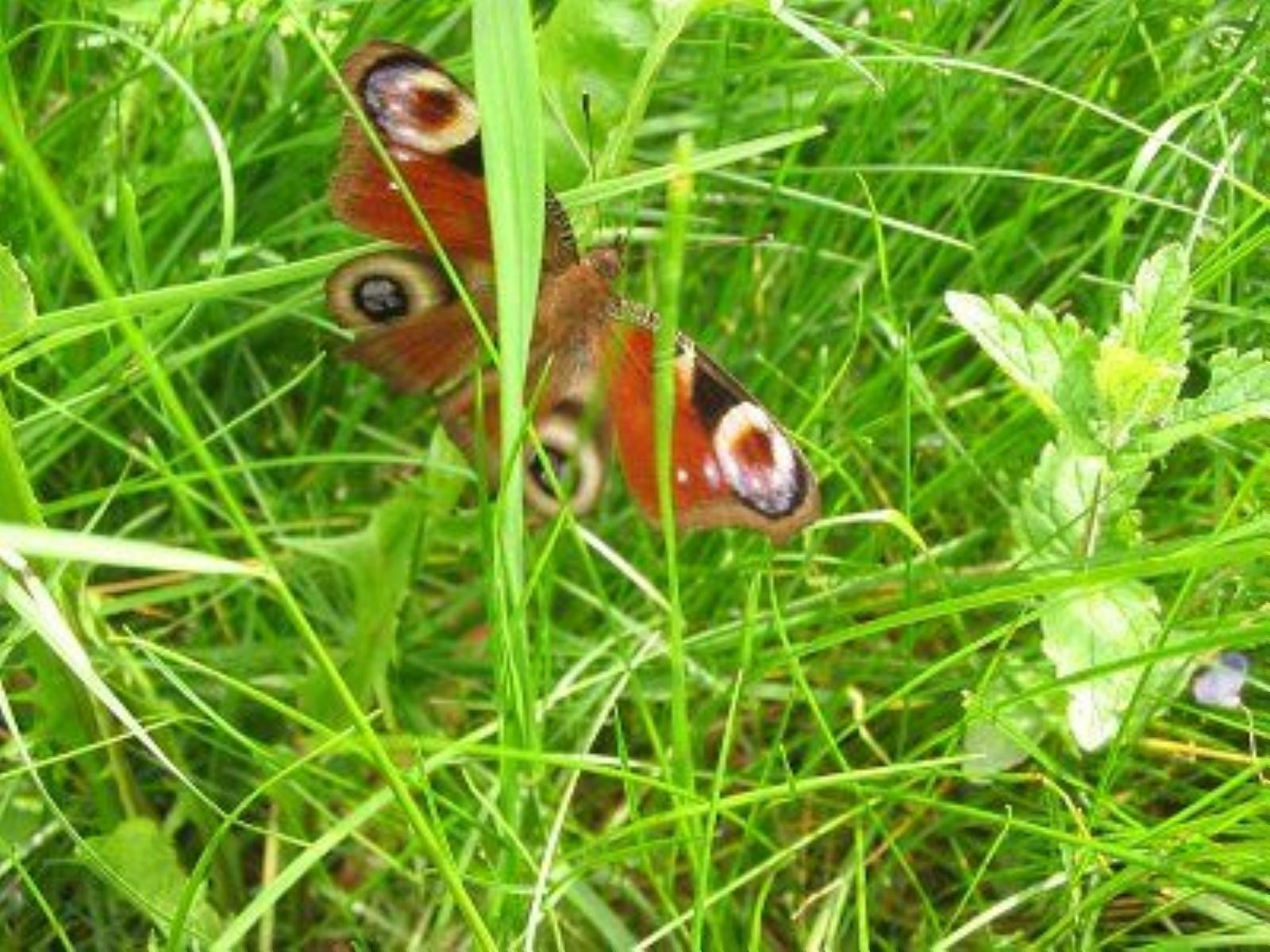 Фотозарисовки Фотозарисовки