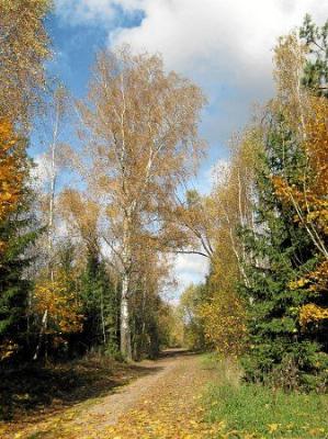 Фотозарисовки