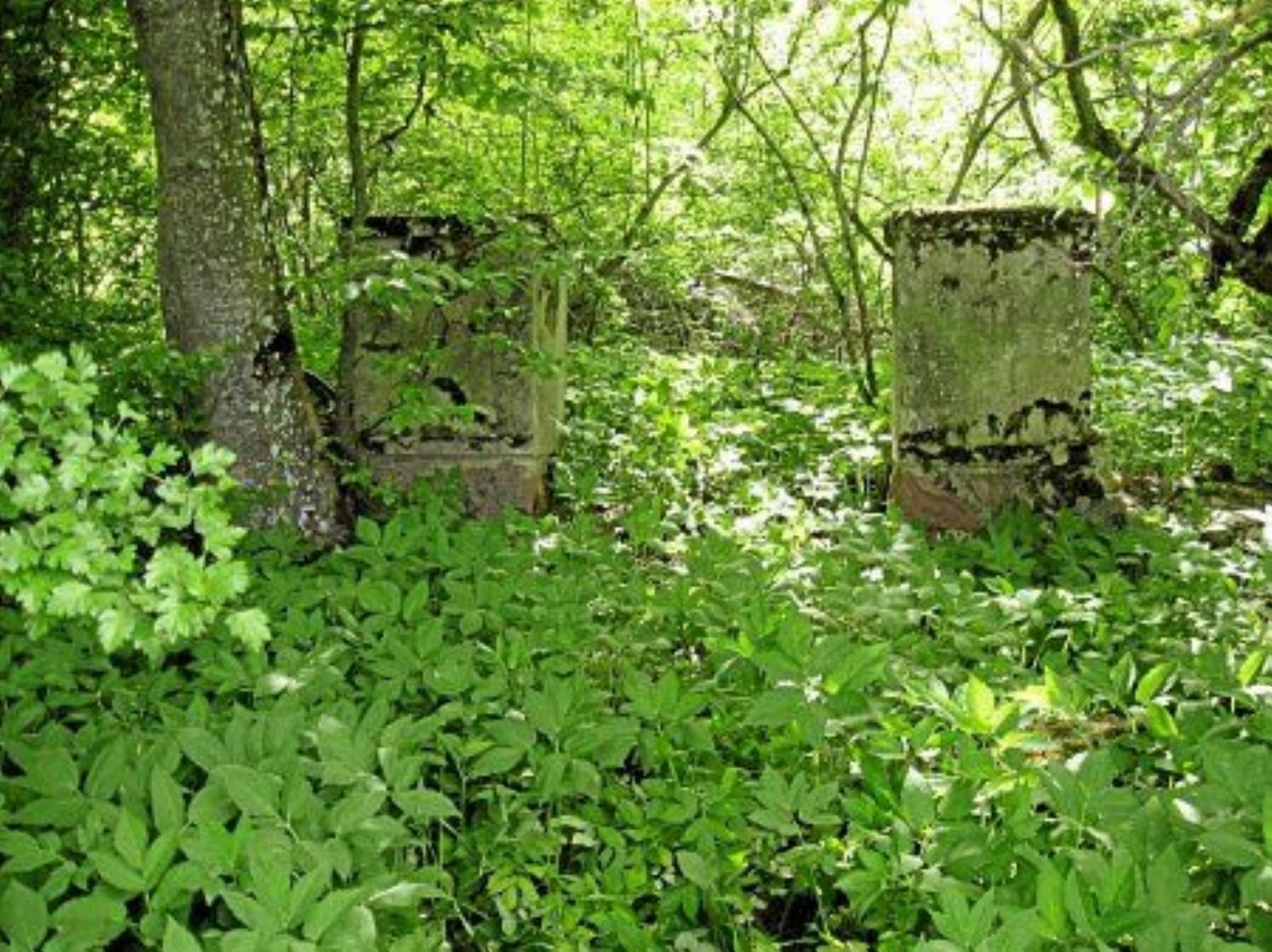 Брама и ограда Брама и ограда