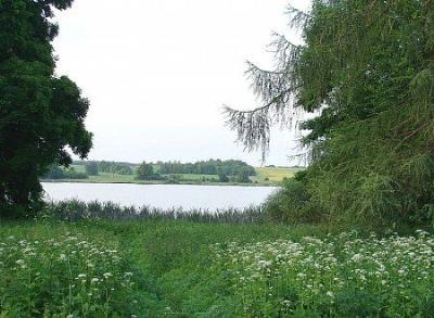 Парк (фрагменты)