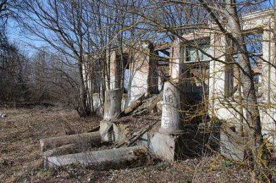 Усадебный дом