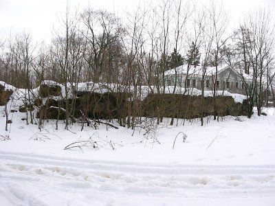 Усадебный дом /сохр. цокольный этаж/