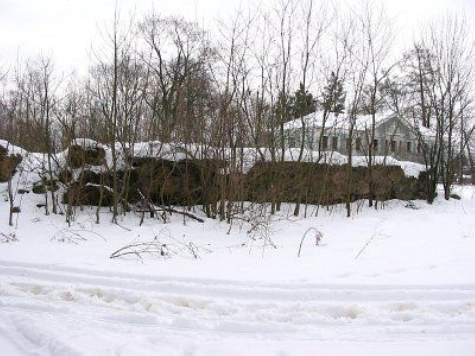 Усадебный дом /сохр. цокольный этаж/ Усадебный дом /сохр. цокольный этаж/