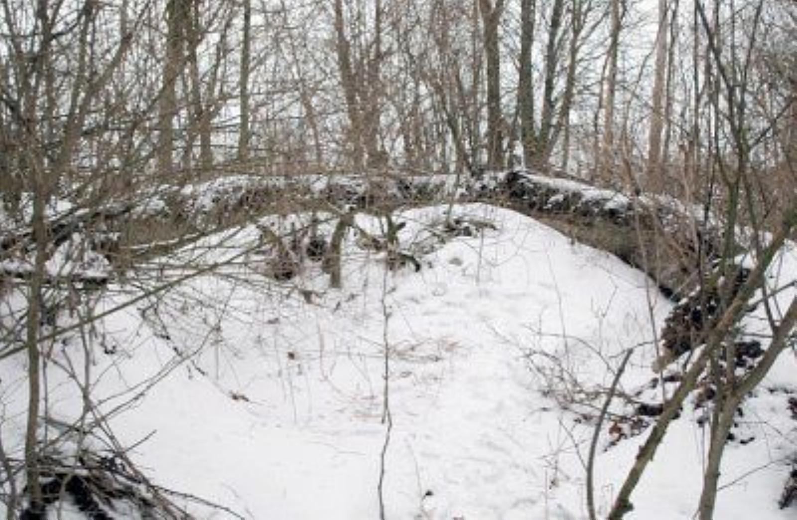 Часовня-усыпальница /сохр. фундамент/ Часовня-усыпальница /сохр. фундамент/