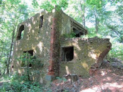 Усадебный дом (?) /сохр. частично/