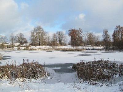 Парк (фрагменты)