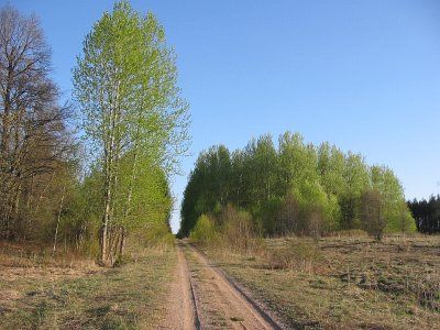 Фотозарисовки