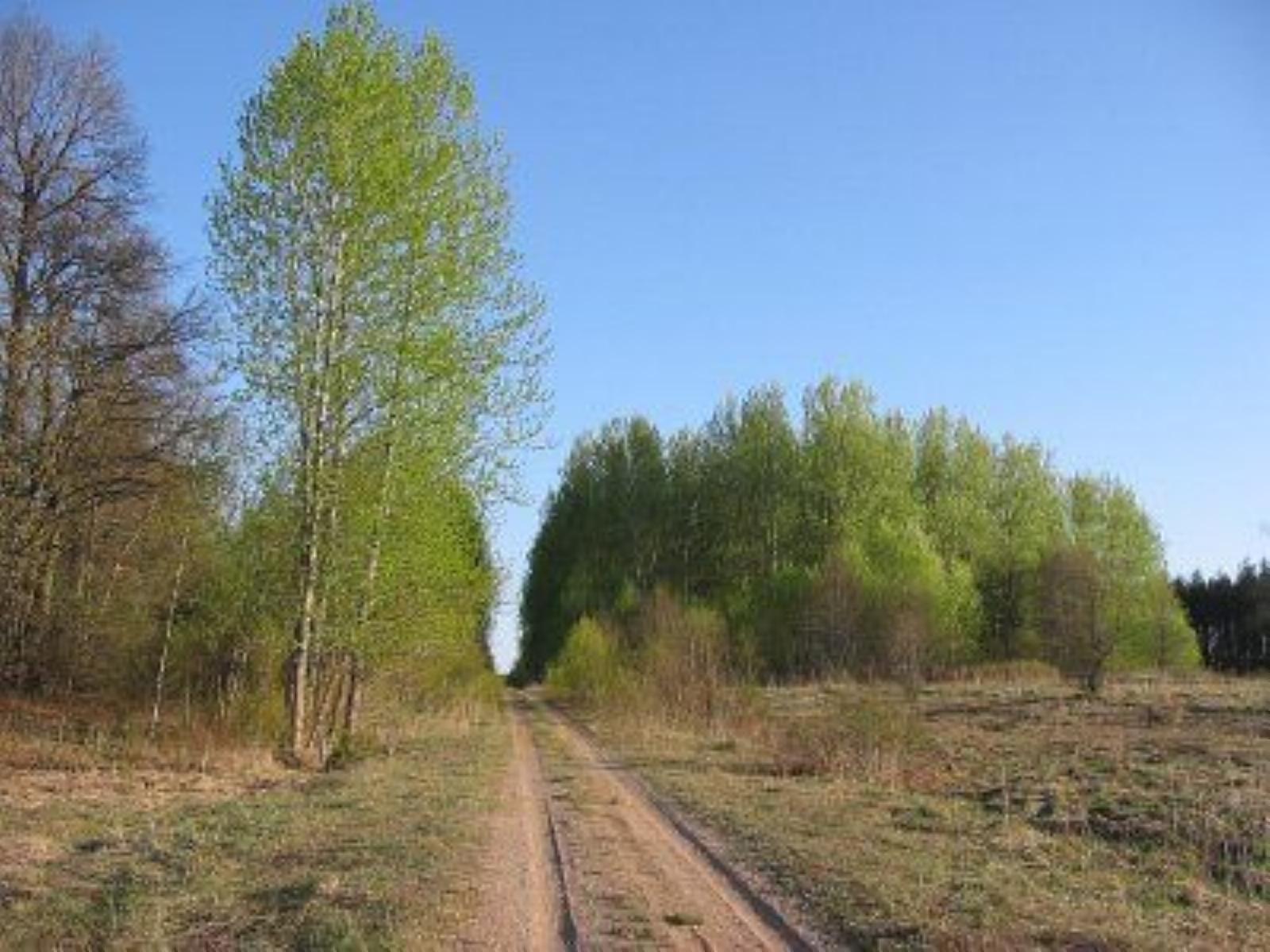 Фотозарисовки Фотозарисовки