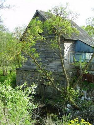 Водяная мельница (дерев.)