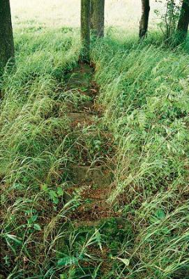 Кладбище солдат 1-й мировой войны