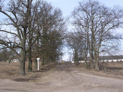 Парк (фрагменты)