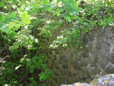 Ледовня (?) (руины)