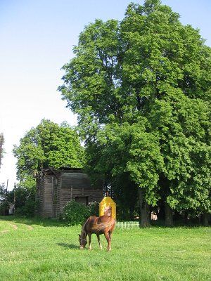 Фотозарисовки